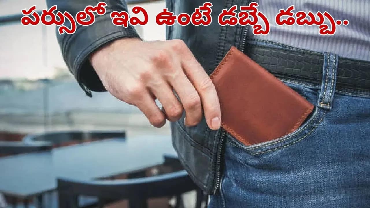 పర్సులో ఈ వస్తువులుంటే డబ్బే డబ్బు!